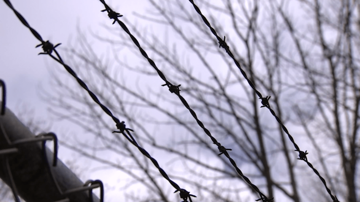 Coronavirus Concerns Persist in CT Prisons NBC Connecticut