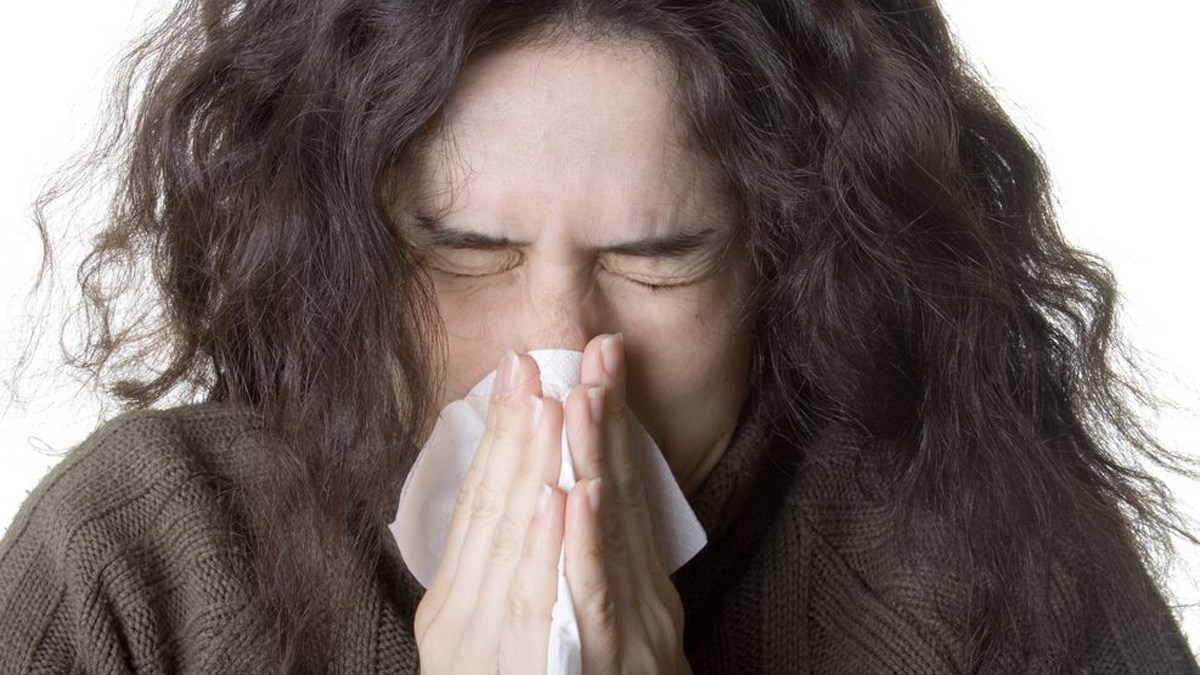 Can the Common Cold Help Defend Against Covid19? NBC Connecticut