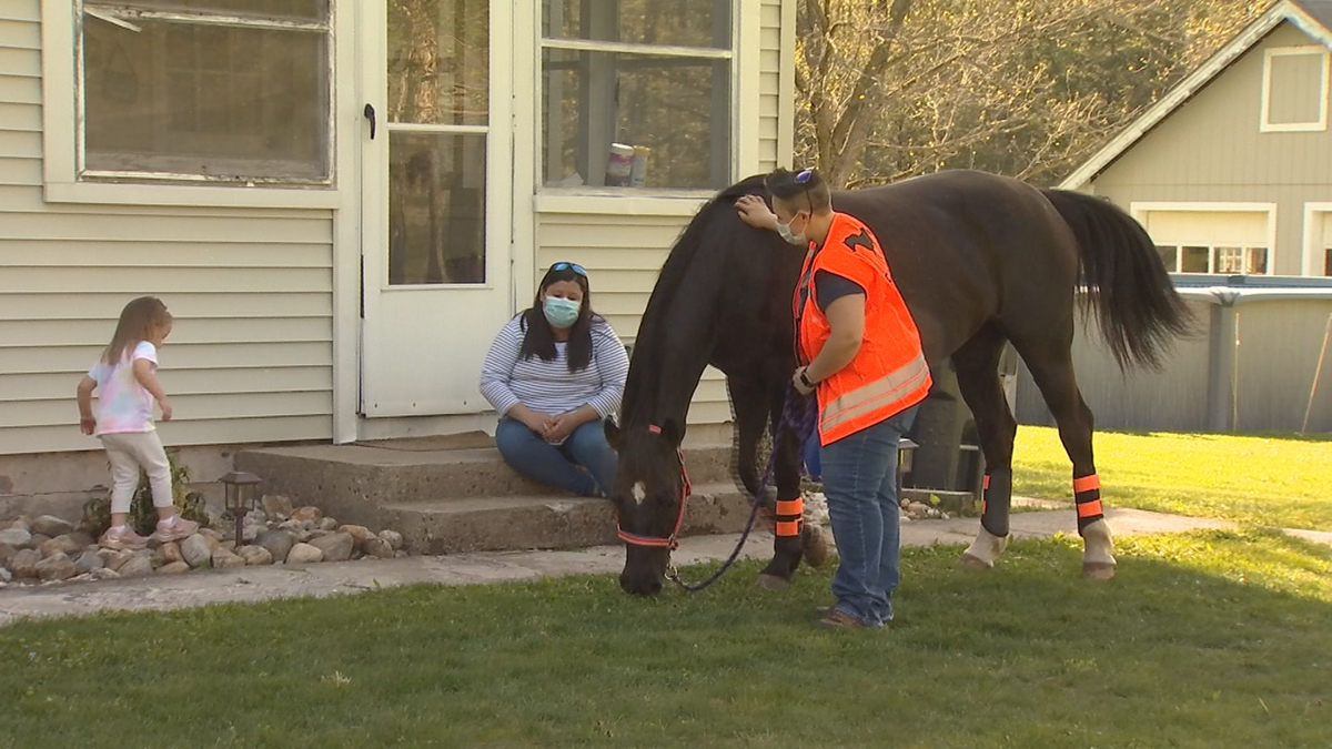 Rescued Horse Visits Neighbor in East Windsor – NBC Connecticut