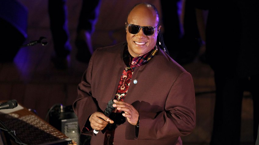 Music-Stevie Wonder