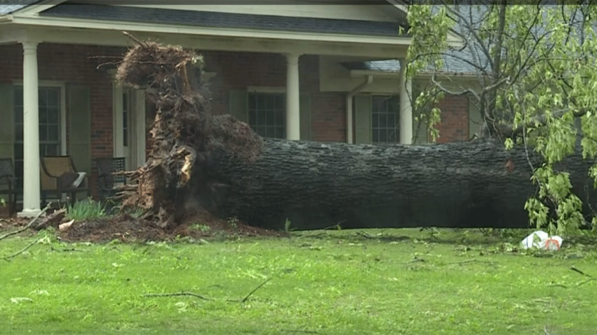 Storm Shelter Grants Alabama 2020 - FEMA Storm Shelter Grants - Government Grants Application - Do you want to offer an industry leading product, with.