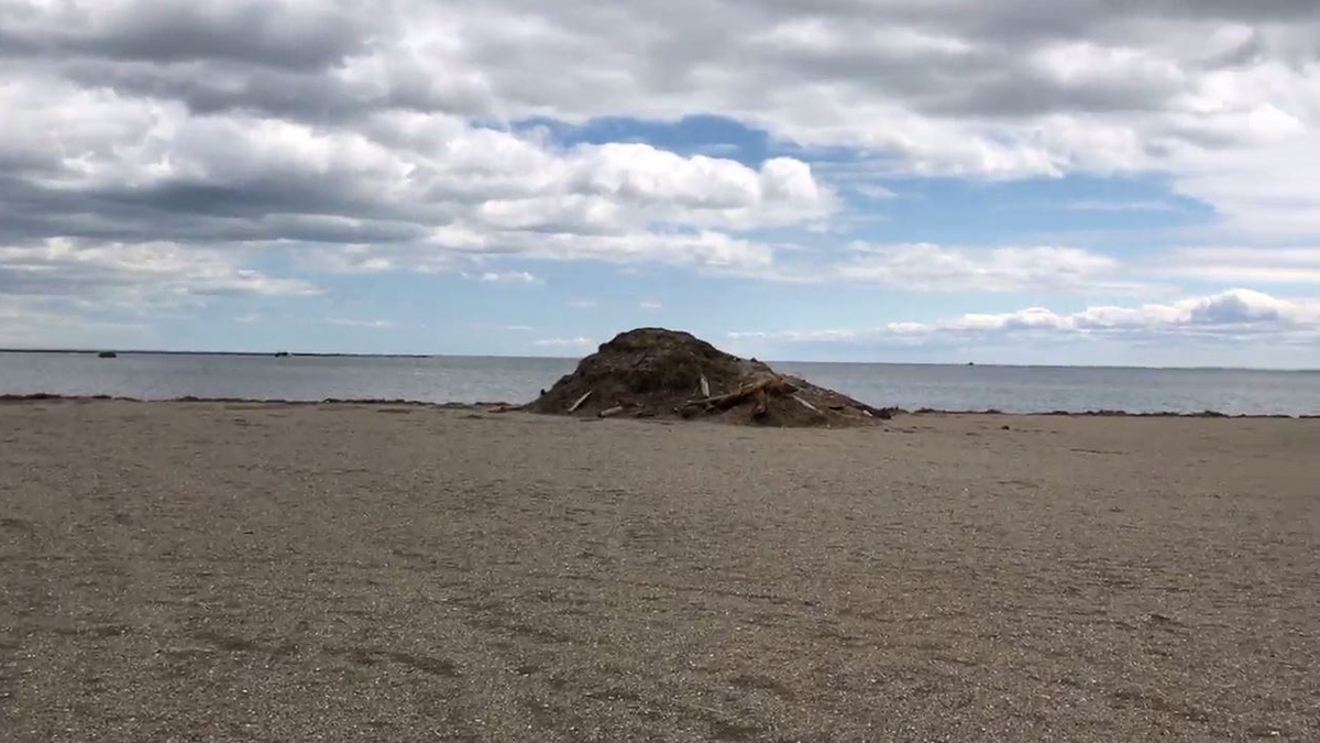 Stratford Beaches Closed to Swimming After Heavy Rain NBC Connecticut