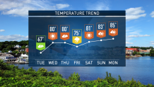 TEMPERATURE TREND (1)