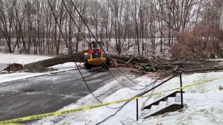 Tree down on Franklin Street in Meriden