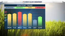 Trend Dew Point 7 Day No Number