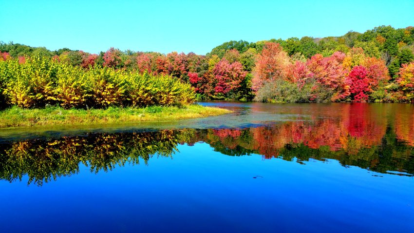 Twin Brooks Park in Trumbull by Nicole Ramirez (2)