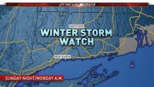 Updated Winter Storm Watch for Sunday 030219