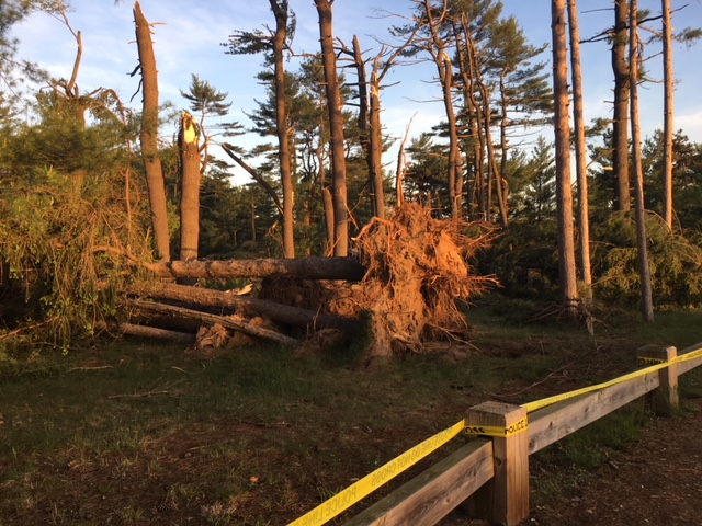 Wharton Brook State Park in Wallingford