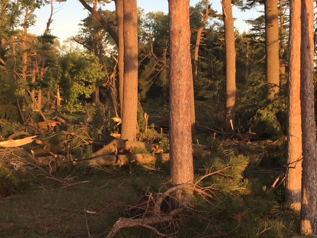 Wharton Brook State Park in Wallingford