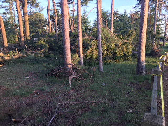 Wharton Brook State Park in Wallingford