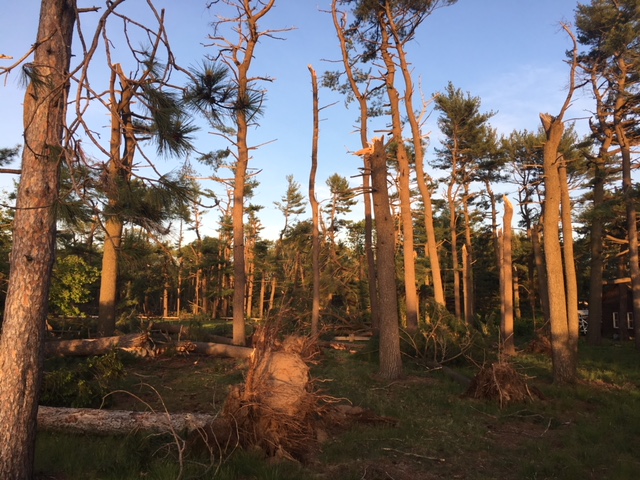 Wharton Brook State Park in Wallingford