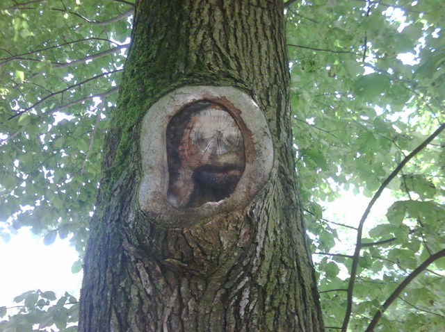 Wallingford_Jesus_Tree