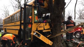 A bus crashedinto tree in Westport