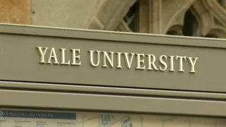 YALE-UNIVERSITY