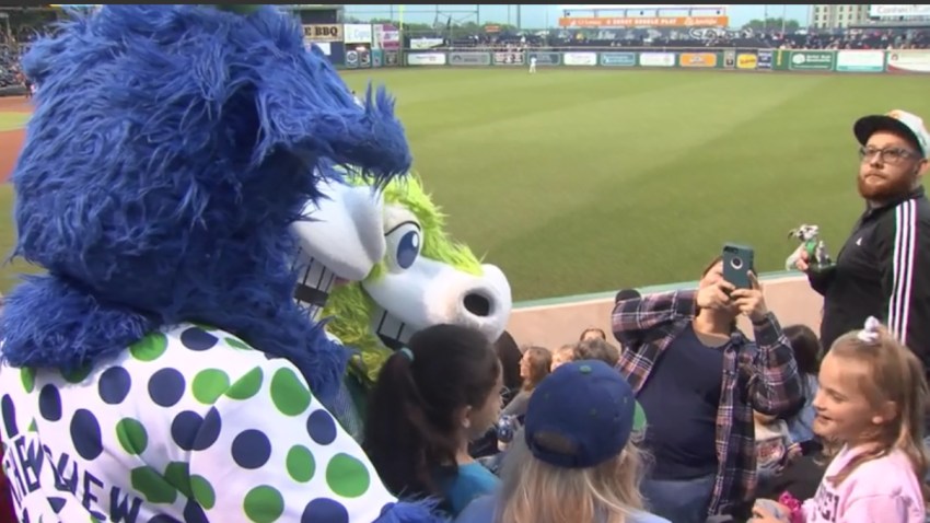 YARD GOATS FUN