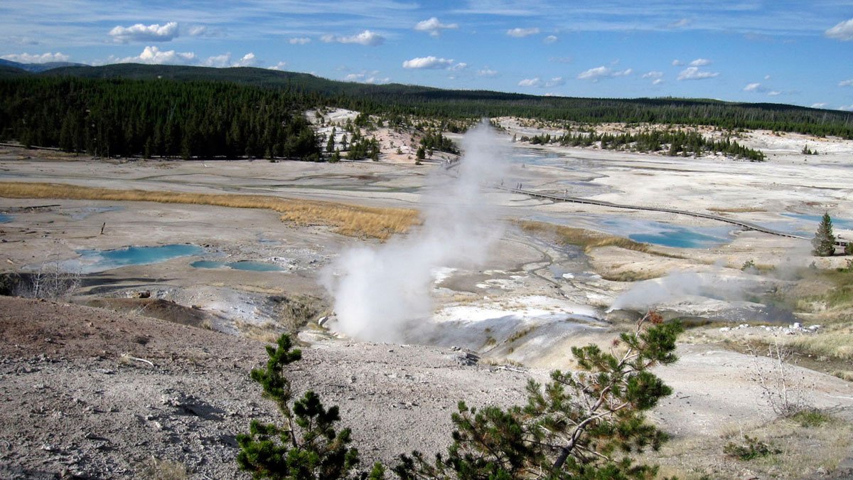 Yellowstone: Woman in Critical Condition After Trying to Save Dog From Hot Spring – NBC Connecticut - Vimarsana News