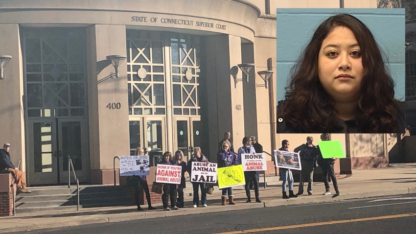 animal rights protesters lopez inset