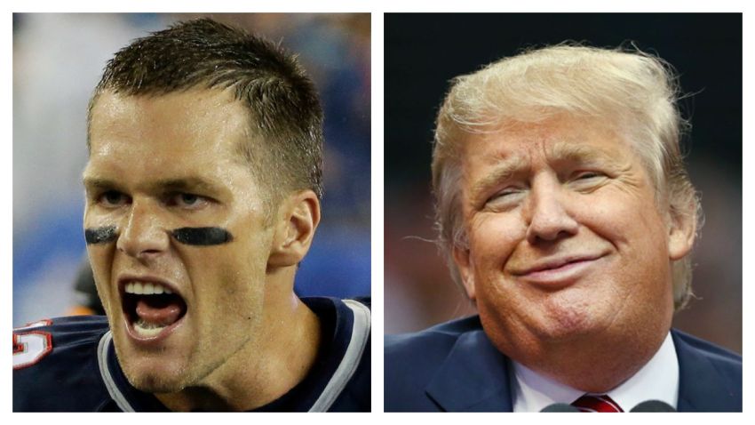 bradytrump