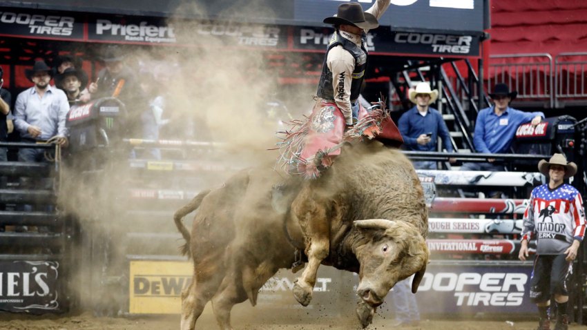 Pro Rodeo Death