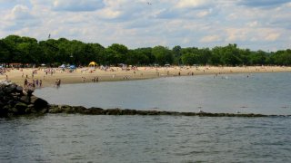 calf pasture beach norwalk