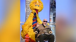 Sesame Street's Big Bird And Puppeteer Caroll Spinney Light The Empire State Building at The Empire State Building on November 08, 2019 in New York City.