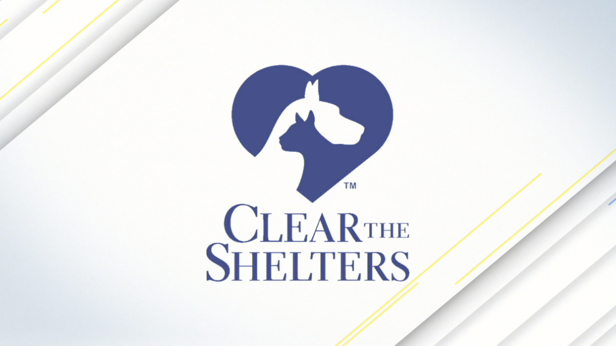 Calling all shelters! Share your Clear the Shelters event with NBC