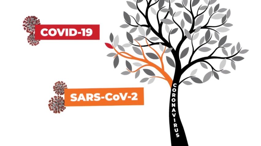 Coronavirus Names Explained: Coronavirus vs. COVID-19 vs. SARS-CoV-2