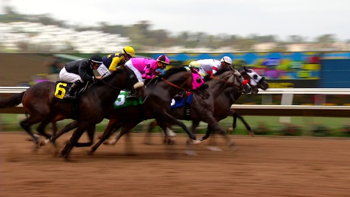 2 horses dead in 2 days at Del Mar Racetrack NBC 7 San Diego