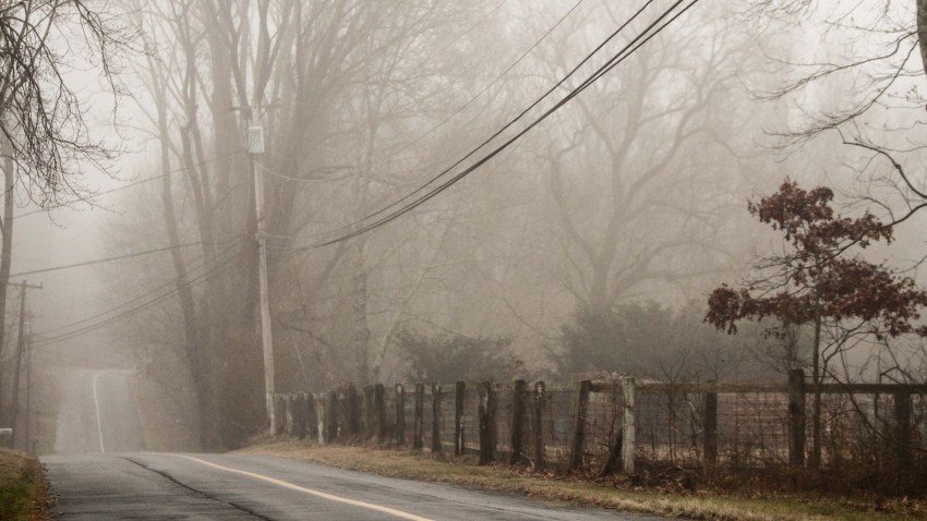 dense fog tayler aubin