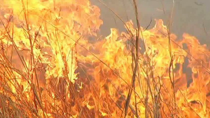 College Professor Charged With Setting California Wildfire – NBC Connecticut - Vimarsana News