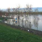 east hartford flooding 041719