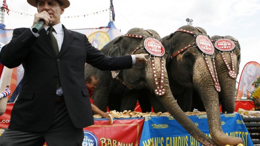 Cross Species Eating Competition