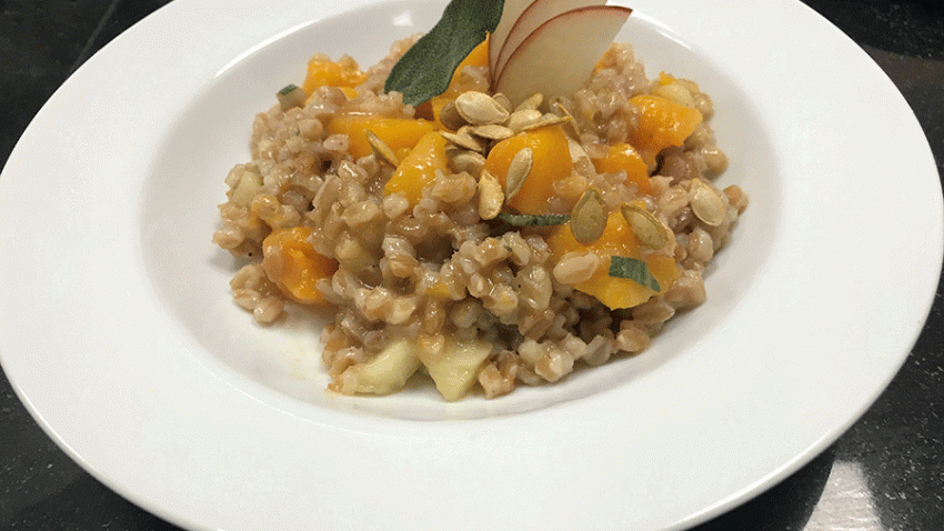 farrot-with-squash-and-apples-edit