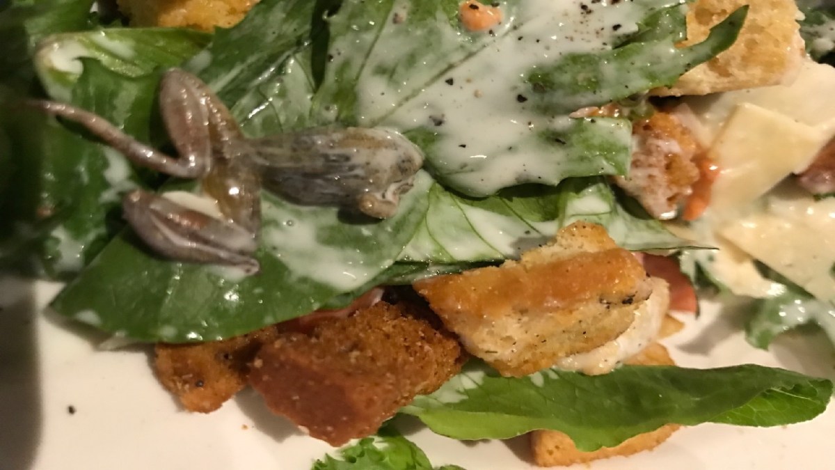 Diner Finds Dead Frog In Salad At BJ s In West Covina NBC Connecticut
