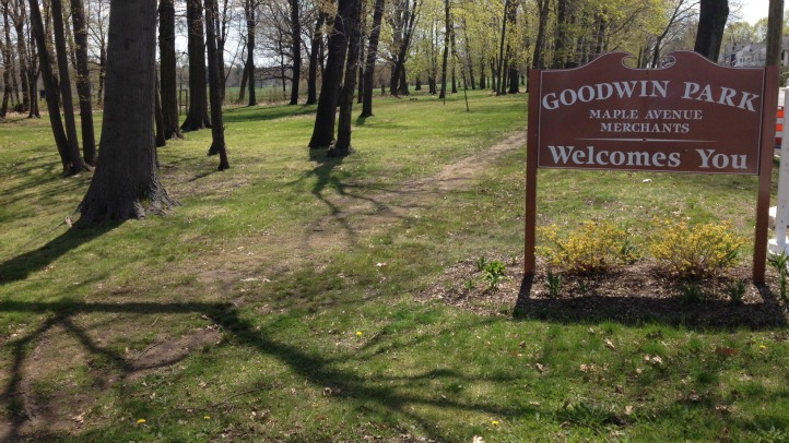 goodwin park assault