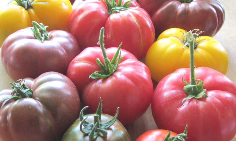 heirloom tomatoes thumb