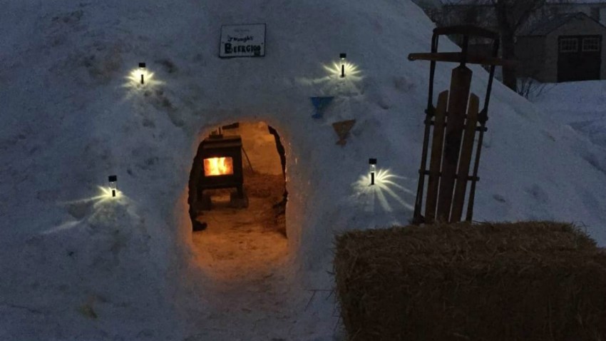 igloo wood stove crop