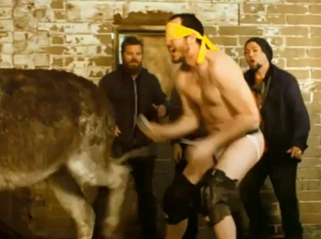 jackass-3.5