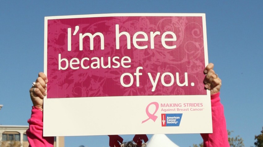 making strides walk