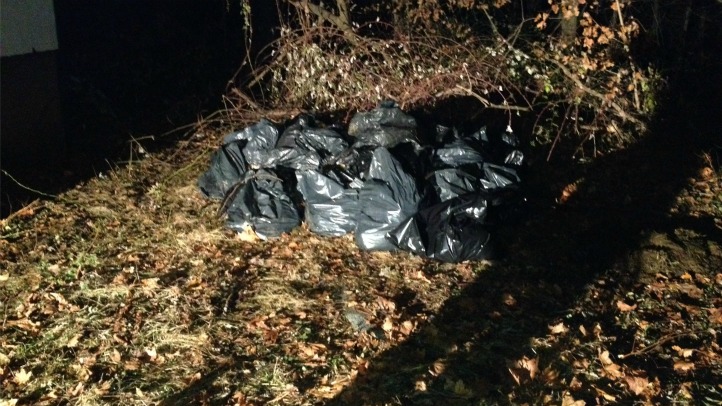 middletown sheep bags