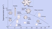 morphologydiagram