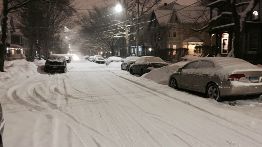 new haven snow web