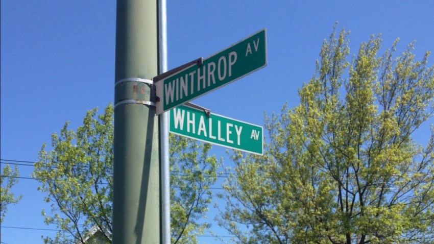 new haven winthrop whalley 2