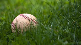 Baseball in the Grass