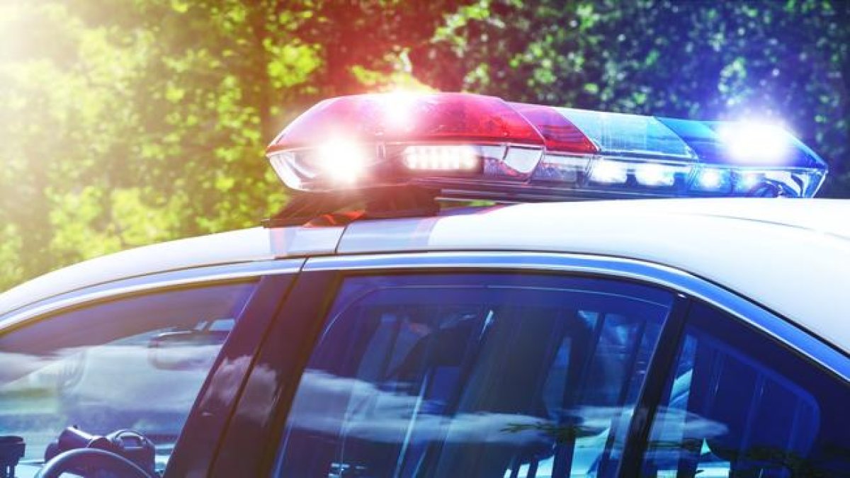 University of South Carolina issues all clear after reports of active ...