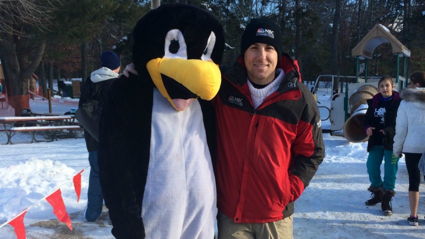 penguinplungeweb