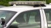 Torrington dog injured in incident with bear