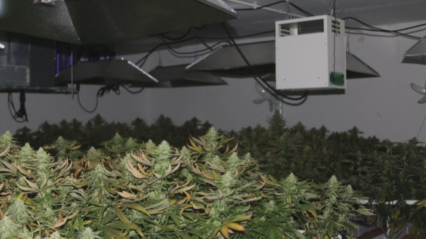 pot_raid_pics