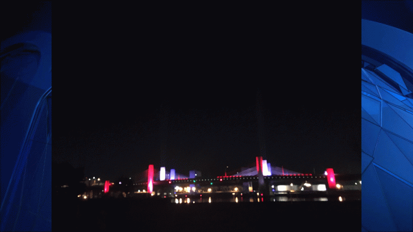 q-bridge-vet-day-edit