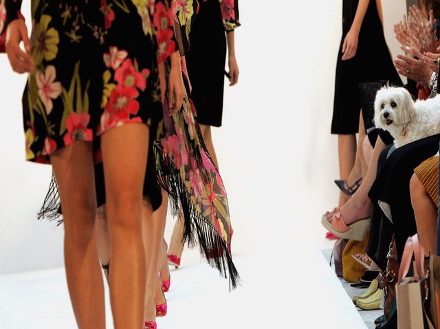 55721111CJ009_LFW_Spring_20